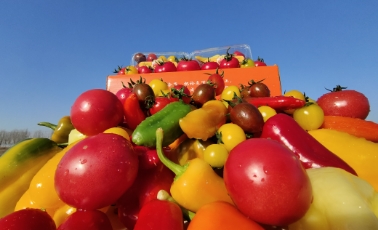 哲思 | ?認(rèn)知的四個(gè)層次，讀懂改變一生