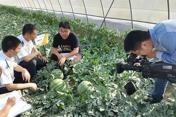 寒流無情，農(nóng)大和豫藝有愛